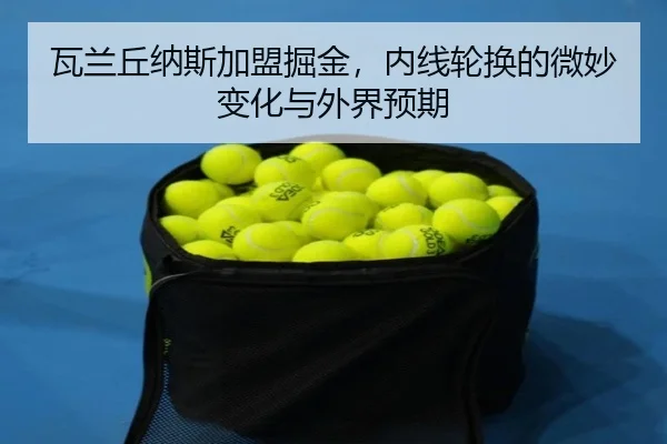 wa-lan-qiu-na-si-jia-meng-jue-jin-nei-xian-lun-huan-de-wei-miao-bian-hua-yu-wai-jie-yu-qi-2-251.jpg